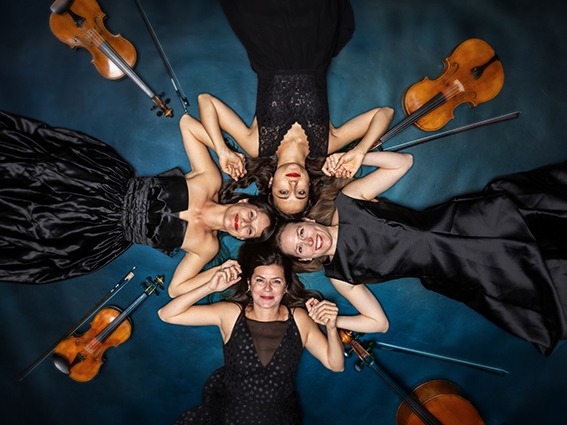 Dissonanzen &copy; Ernest Stierschneider