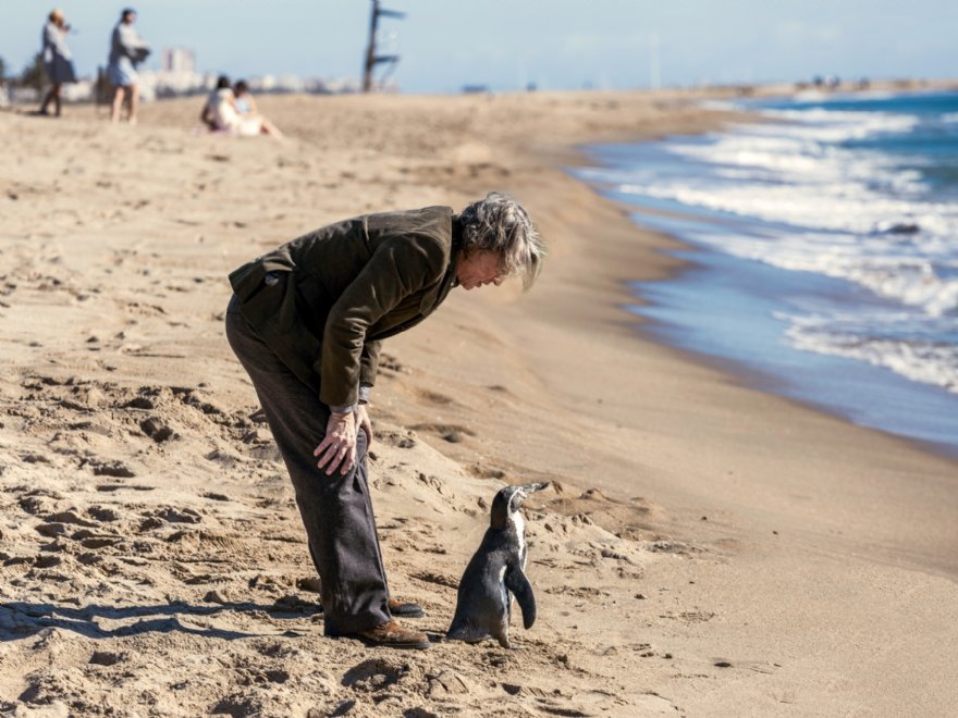Pinguin 1 © DAS KINO
