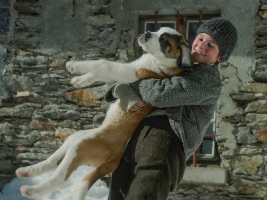 Mein Freund Barry &copy; Das Kino