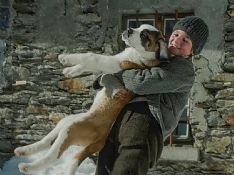 Mein Freund Barry